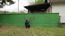 19-04-30 Graffiti Ranch Legrad 01